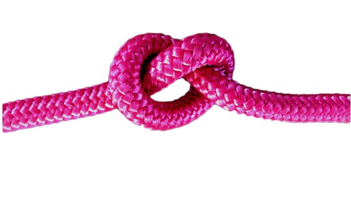 4 Knot Training Halter