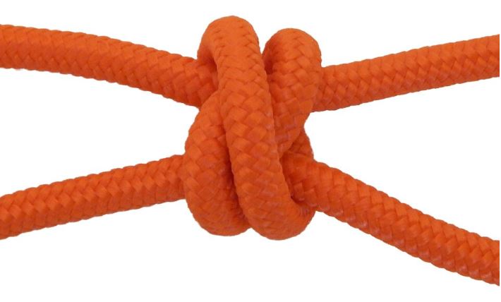 4 Knot Training Halter