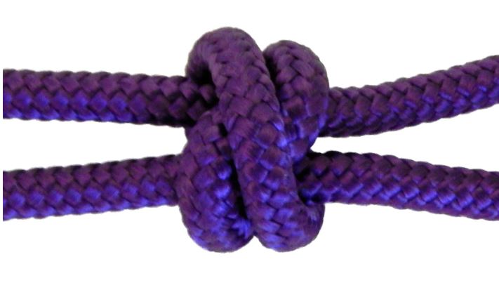 2 Knot Stiff Rope Halter ( Variety of Colors Available )